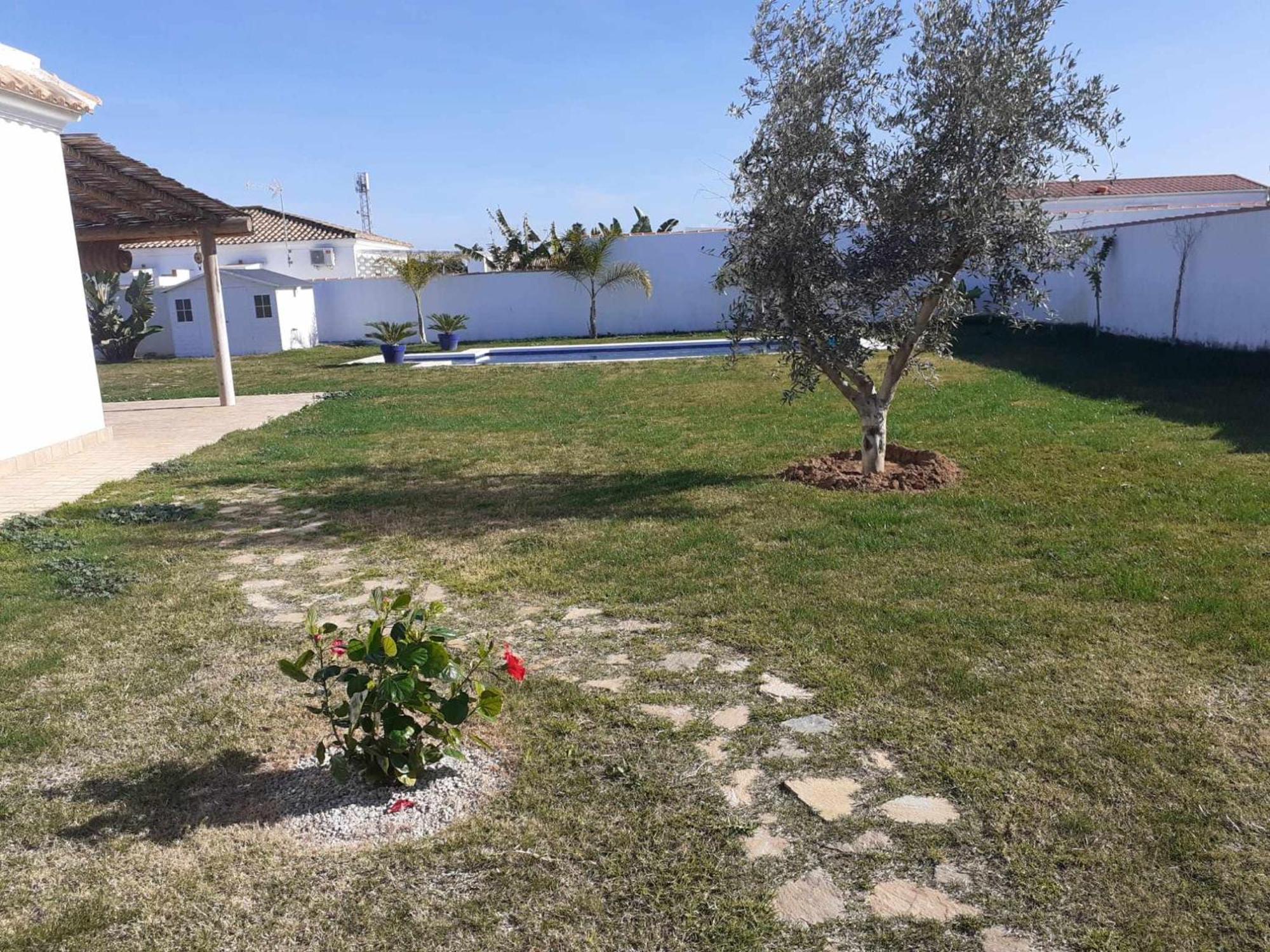 Las Casitas De La Barrosa Con Jardin Y Piscina Chiclana de la Frontera Rom bilde