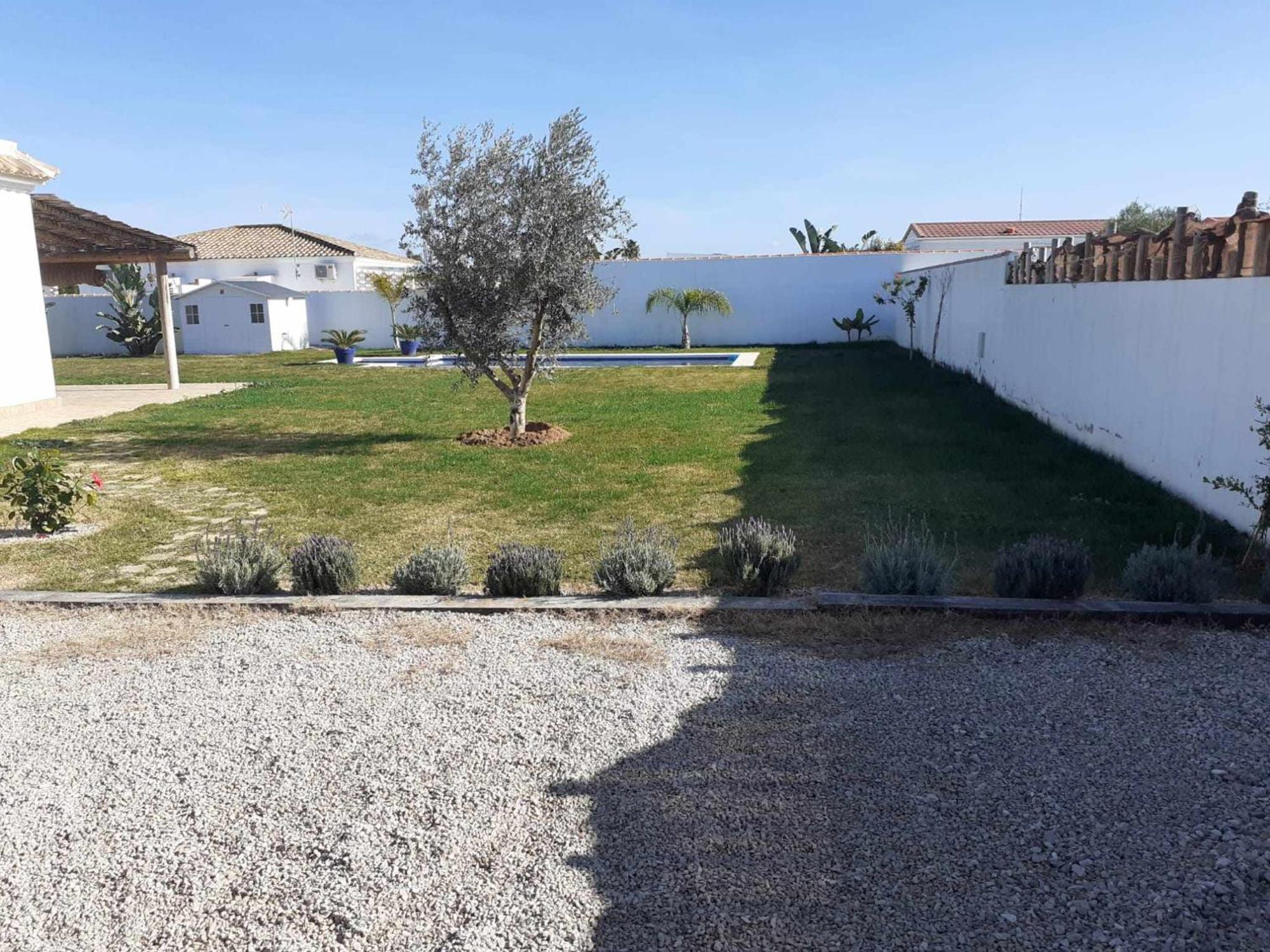 Las Casitas De La Barrosa Con Jardin Y Piscina Chiclana de la Frontera Rom bilde